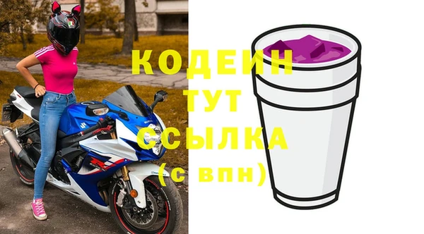 шишки Белоозёрский