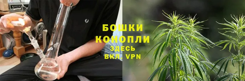 гидра ССЫЛКА  Железноводск  Бошки Шишки Ganja 